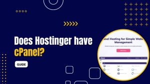 1689820782 Does Hostinger have cPanel Without code